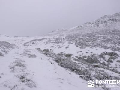 Hayedo de Pedrosa - Parque Natural Sierra Norte de Guadalajara - Hayedo de Tejera Negra